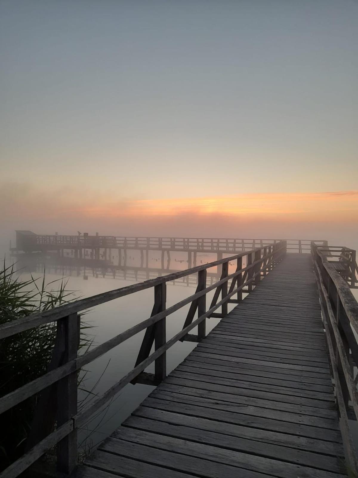 Gemuetliche Am Federsee *